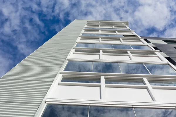 vinil siding ile modern ev