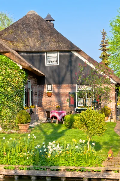 Traditionella holländska hus — Stockfoto