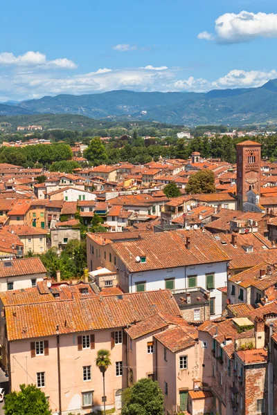 Visa över lucca, Toscana stad — Stockfoto