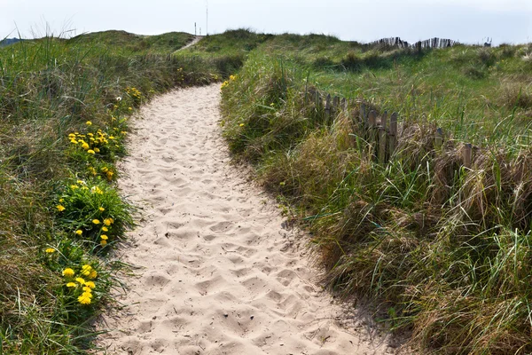 Sand footpath through dunes — Stock Photo, Image
