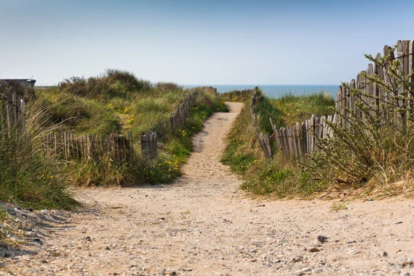 Sand footpath through dunes at the beach — Stock Photo, Image