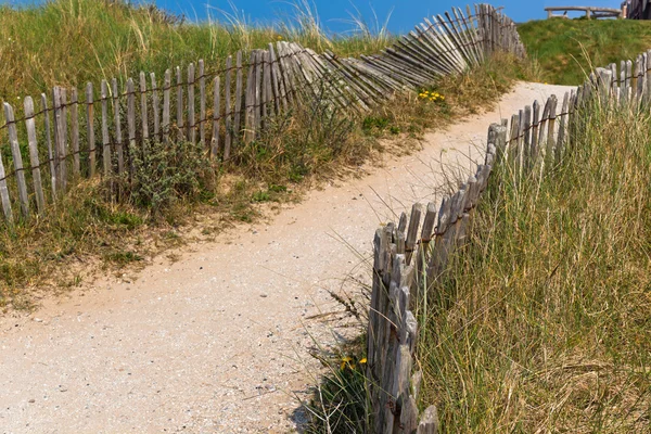 Sand vandringsled genom sanddyner — Stockfoto