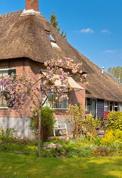 Bella casa tradizionale olandese con un tetto di paglia — Foto Stock