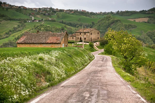 Итальянская ферма и местная дорога — стоковое фото