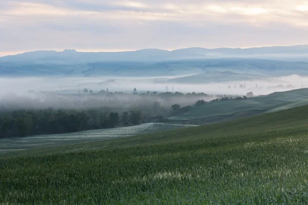 Ochtend mist bekijken op landbouwgrond — Stockfoto