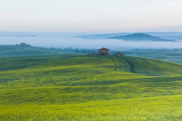 Bondgård i Toscana på sunrise — Stockfoto