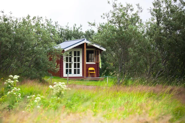 Piccola casa cresciuta in Islanda — Foto Stock