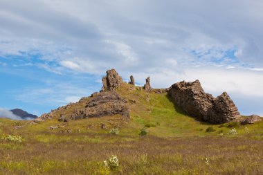 Doğu İzlanda doğa manzara bazalt taşlarla