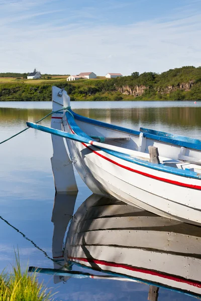 浮木小船与桨 — 图库照片