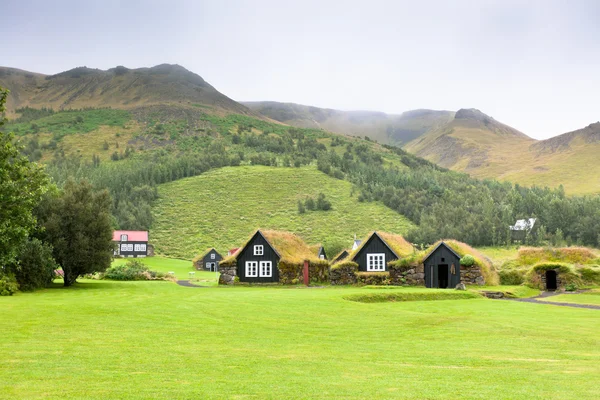 Tipiche case islandesi rurali ricoperte di vegetazione nel giorno coperto — Foto Stock