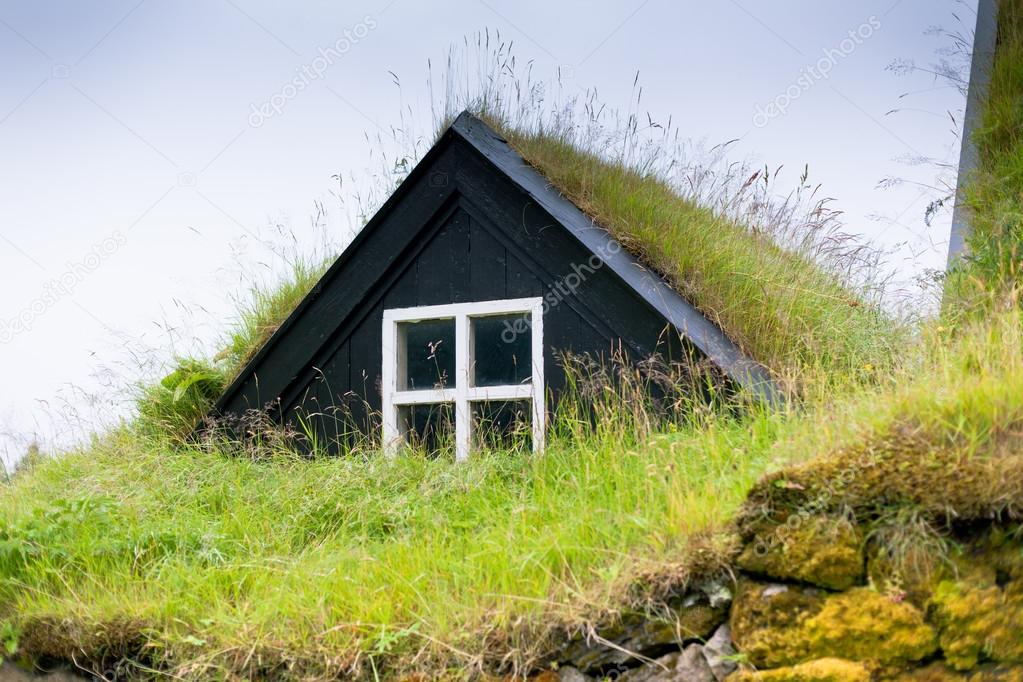 Overgrown Typical Rural Icelandic house closeup