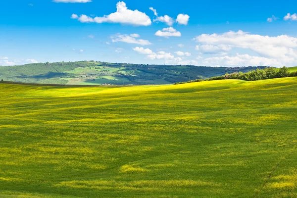 Lumière et ombres sur les collines toscanes — Photo