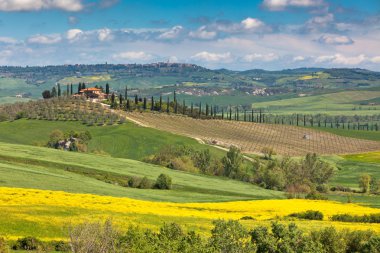 Açık Tuscan Val d'Orcia yeşil ve sarı alanlar
