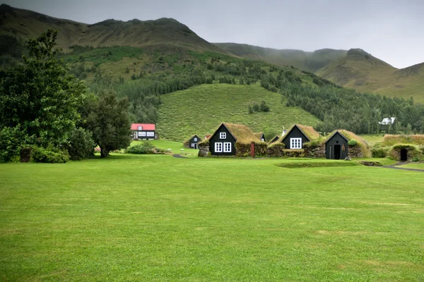 Überwucherte alte typisch ländliche isländische Häuser — Stockfoto