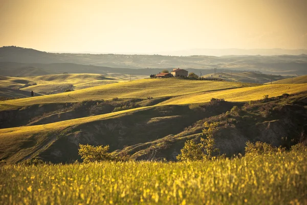 Lumière et ombres sur les collines toscanes — Photo