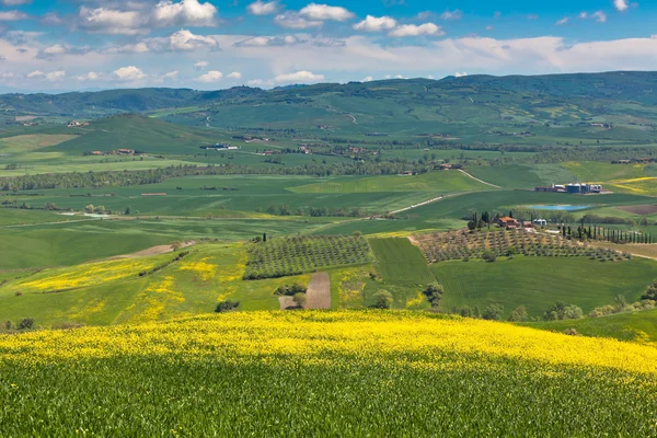 Buiten Toscaanse heuvels landschap — Stockfoto
