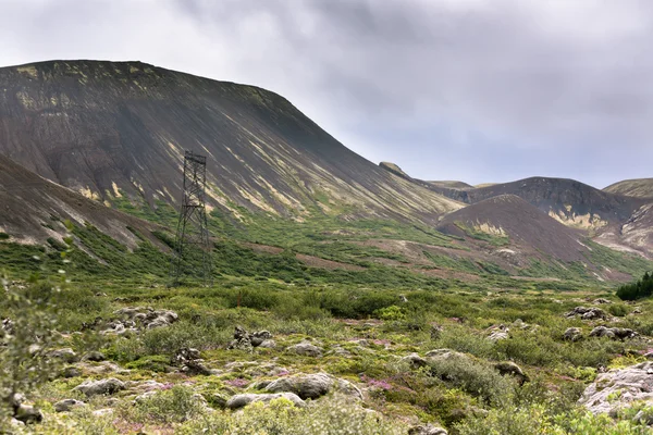 Islanda Natura in estate — Foto Stock