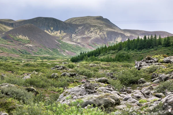 Iceland Nature in Summer — Stock Photo, Image