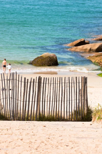 Clôture en bois sur la plage du Nord en France . — Photo