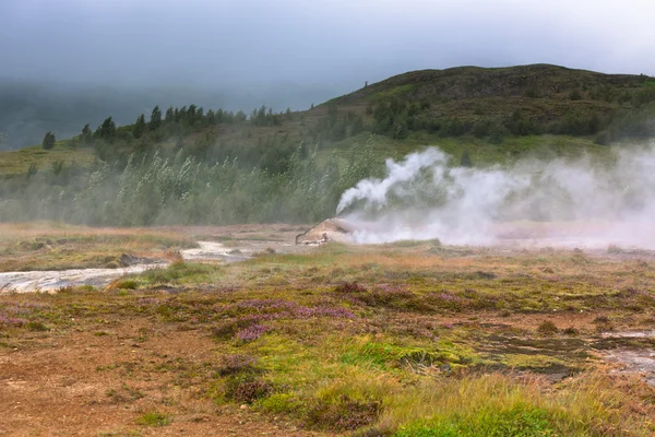 どんよりした天気でアイスランド: Smidur 間欠泉 — ストック写真