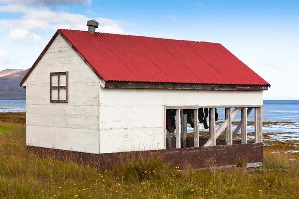Fisk torkning hut på Island havskust — Stockfoto