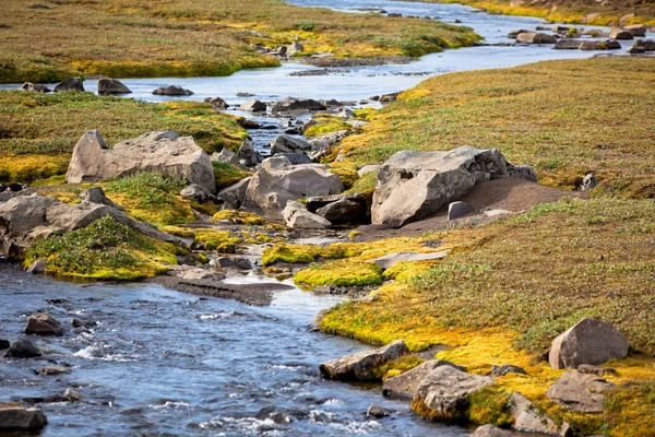 Summer Iceland Landscape with Small River Stream — Stock Photo, Image