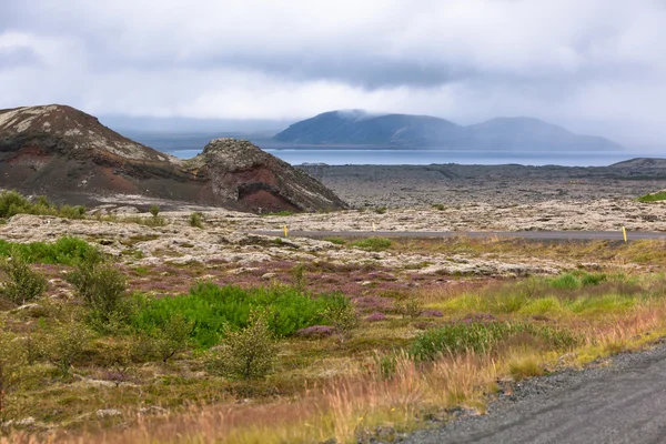 Island natur i sommar — Stockfoto
