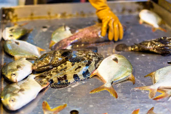 Peixe fresco no mercado asiático local — Fotografia de Stock