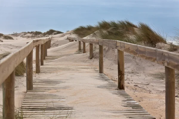 Trä gångväg genom sanddynerna på ocean beach — Stockfoto