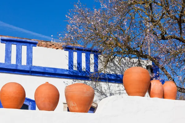 Tontöpfe stehen auf weißer Keramikwand in portugal — Stockfoto