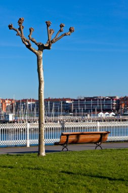 marina manzaralı boş ahşap park bankında