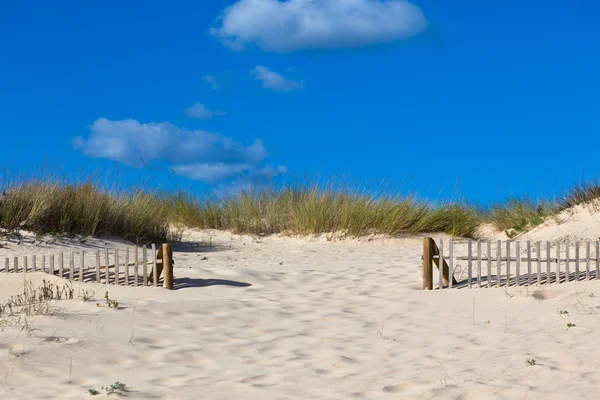 Dřevěný plot na písku ocean beach v Portugalsku — Stock fotografie