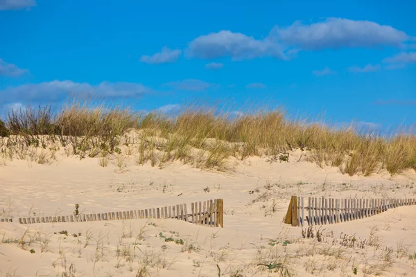 Wooden fence at sand ocean beach in Portugal — Stock Photo, Image