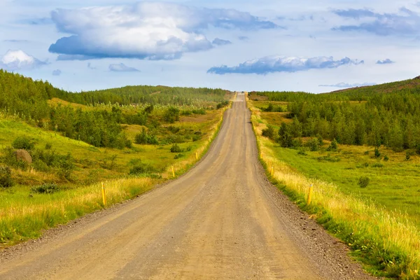 Landscape with Curve Road at North Iceland — Stock Photo, Image