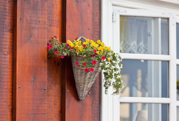 Fleurs en pot d'osier sur une maison en bois icelandique — Photo