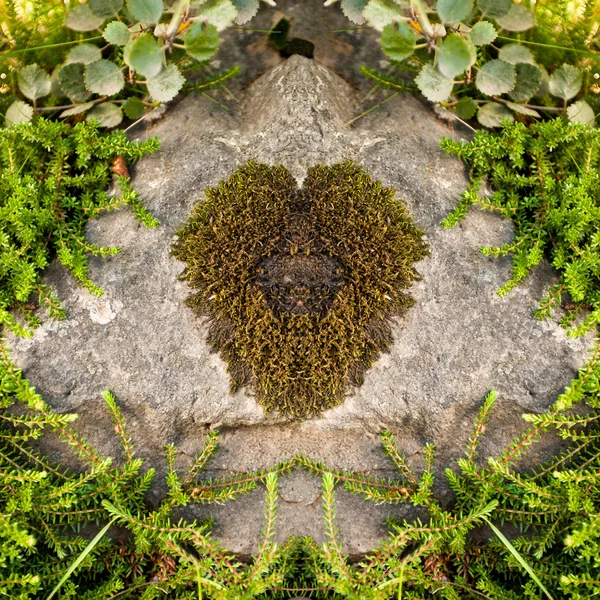Moss Heart on a Stone — Stock Photo, Image