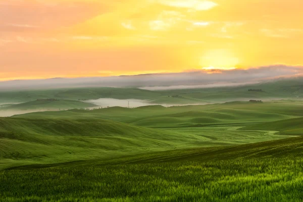 Ranní mlha Prohlédni na zemědělské půdě v Toskánsku, Itálie — Stock fotografie