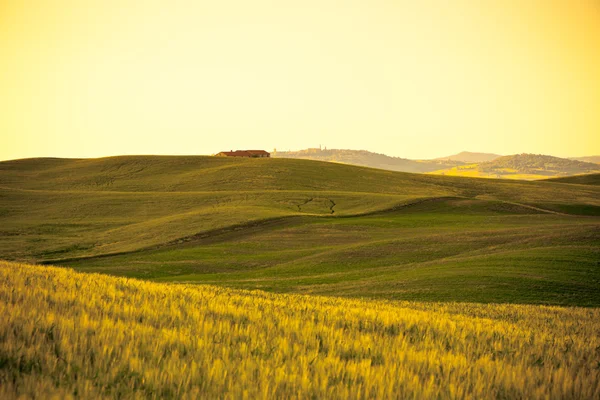 Ao ar livre paisagem colinas de ouro toscana ao pôr do sol — Fotografia de Stock
