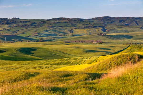 Outdoor-Landschaft der toskanischen Goldhügel bei Sonnenuntergang — Stockfoto