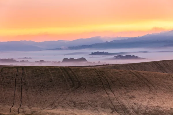 Ranní mlha Prohlédni na zemědělské půdě v Toskánsku, Itálie — Stock fotografie