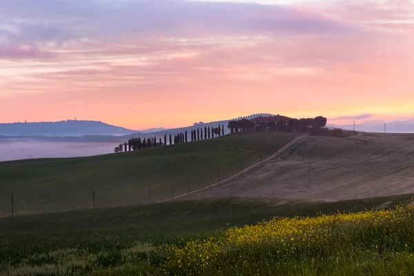 Ochtend mist bekijken op de boerderij in Toscane, Italië — Stockfoto