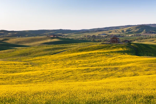 Toscana Val d Orcia campos verdes y amarillos vista —  Fotos de Stock