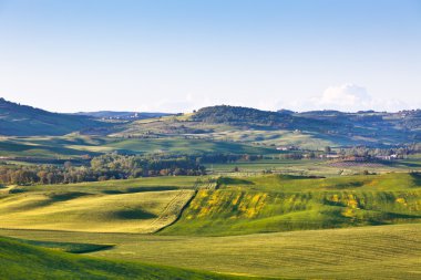 Açık tuscan val d orcia sarı ve yeşil tepeler
