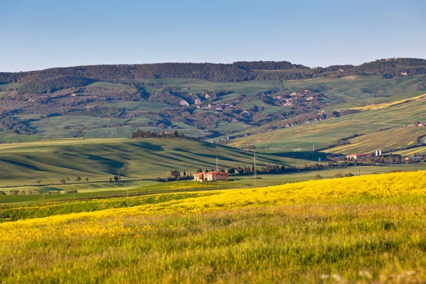Außen toskanischen val d orcia grünen und gelben Hügeln — Stockfoto