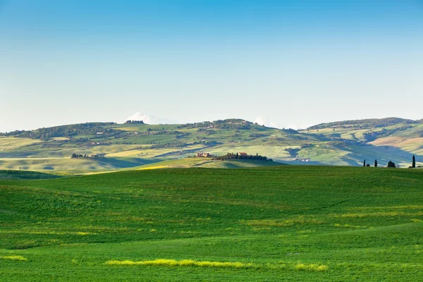 Odkryty toskańskimi wzgórzami krajobraz — Zdjęcie stockowe