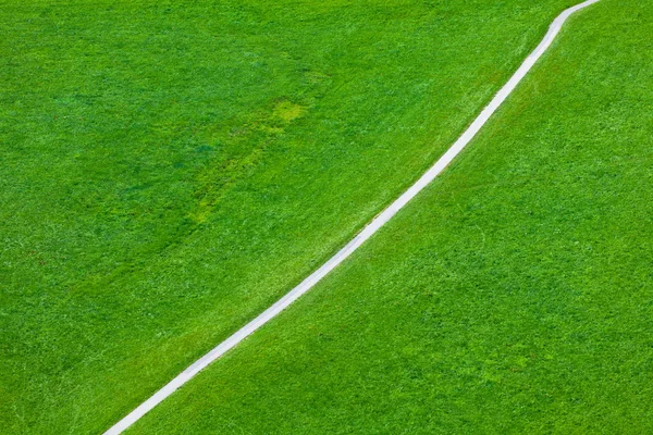 グリーン フィールドの歩道を歩く — ストック写真