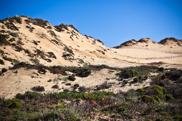 Dunas en la playa del océano en Portugal —  Fotos de Stock