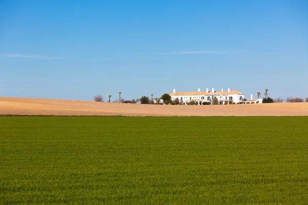 Södra Spanien landsbygdens landskap med hus och grönt fält — Stockfoto