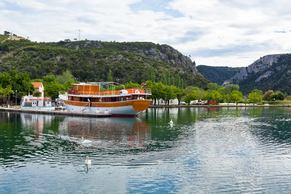 Туристические лодки и лебеди в Скрадине, Хорватия — стоковое фото