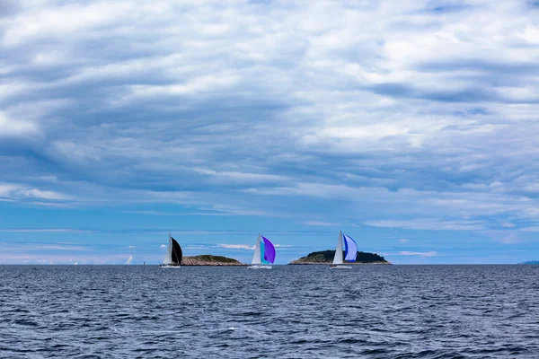 Regata de yates en el mar Adriático en tiempo ventoso —  Fotos de Stock